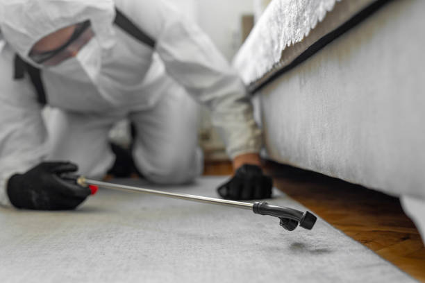 Professional Mosquito Control technician working in Dorr, MI