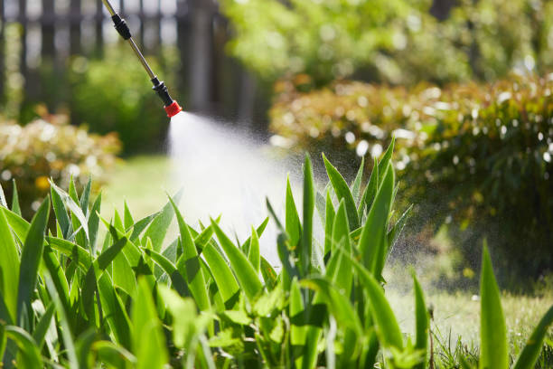 24/7 Emergency Mosquito Control experts in Dorr, MI